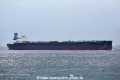 Maran Artemis OS-131018-05.jpg