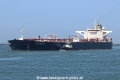 CE-Hamilton TL-180721-4.jpg