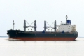 Amstel Tiger (KK-220617-0).jpg