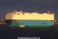 Firmament Ace TL-291121-2.jpg