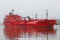 Eco Nemesis (OK-211019-0).jpg