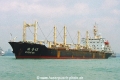 Zhen Fen 13 OS-FN199.jpg