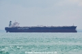 Nectar OS-201019-10.jpg