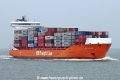 BG Orange TL-020226-3.jpg