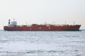 DL Calla TJ-011109-1.jpg