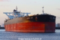 Maran Leo TL-061022-3.jpg