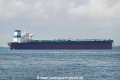 Maran Antiope OS-251022-11.jpg