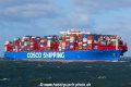 COSCO Shipping Gemini SH-290120-01.jpg