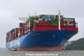 Cosco Shipping Gemini 170518-29.jpg