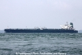 Marigold (MS-171012-07).jpg