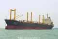 Zhen Fen 17 OS-FN199-2.jpg