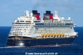 Disney Dream (LW-161025-06).jpg