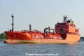 Eco Dream (OK-100820-0).jpg