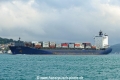 AS Nina (OK-170823-2).jpg