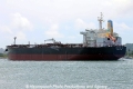 Celso Furtado RV-281111-03.jpg