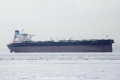 Maran Aphrodite (MS-141018-08).jpg