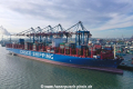 Cosco Shipping Gemini KH-081119-2.jpg