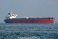 Maria P Lemos OS-181019.jpg
