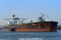Maran Ares (MM-170622-1).jpg