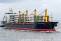 Atlantic Runner II SH-240625-01.jpg
