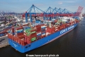 COSCO Shipping Leo (KB-D240823-02).jpg