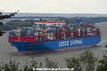Cosco Shipping Capricorn 240818-06.jpg