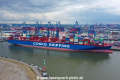 Cosco Shipping Capricorn 030520.jpg