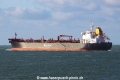 Baltic Sapphire (JS-120909-08).jpg