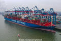 Cosco Shipping Capricorn KH-250119-2.jpg