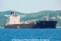 C Winner (OK-300512-0).jpg