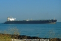 Mayfair (K2005-2-MS).jpg