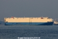 Felicity Ace OS-221014-09.jpg