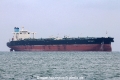 Maran Callisto (MS-130417-09).jpg