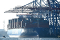 Cosco Shipping Aries 230218-19.jpg