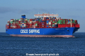 Cosco Shipping Capricorn JG-081118-02.jpg
