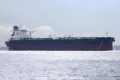 Maran Artemis (MS-131018-05).jpg