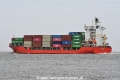 BF Carp JG-101025-3.jpg
