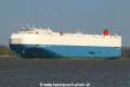 Elegant Ace TL-060516-2.jpg