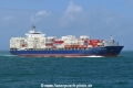 AS Camellia (MB-250722-4).jpg