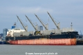 Amstel Stork (KB-D171223-01).jpg
