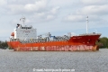 Swan Dignity (OK-300422-1).jpg