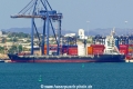 Tampa Trader (KK-220217-1).jpg