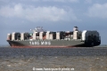 YM Wish (KK-130515-1).jpg