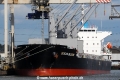 Ocean Bloom OS-250914-01.jpg
