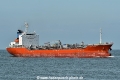 Swan Pride HK-210921-1.jpg