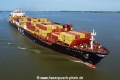 MSC Vidisha R TL-270824-7.jpg