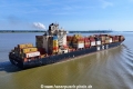 MSC Vidisha R KH-270824-5.jpg