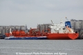 Sypress (JS-040911-01).jpg