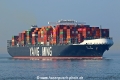 YM Wisdom TL-310321-5.jpg