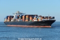 Niledutch Lion JG-060923-2.jpg
